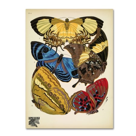 Vintage Apple Collection 'Papillons 4' Canvas Art,35x47